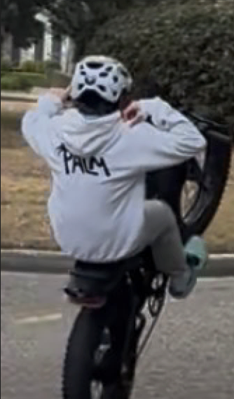 (NEW!) Palm Supplys Hoodie